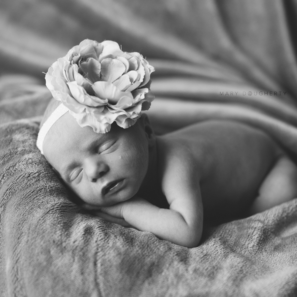 rochester_newborn_film_photography_mary_dougherty12