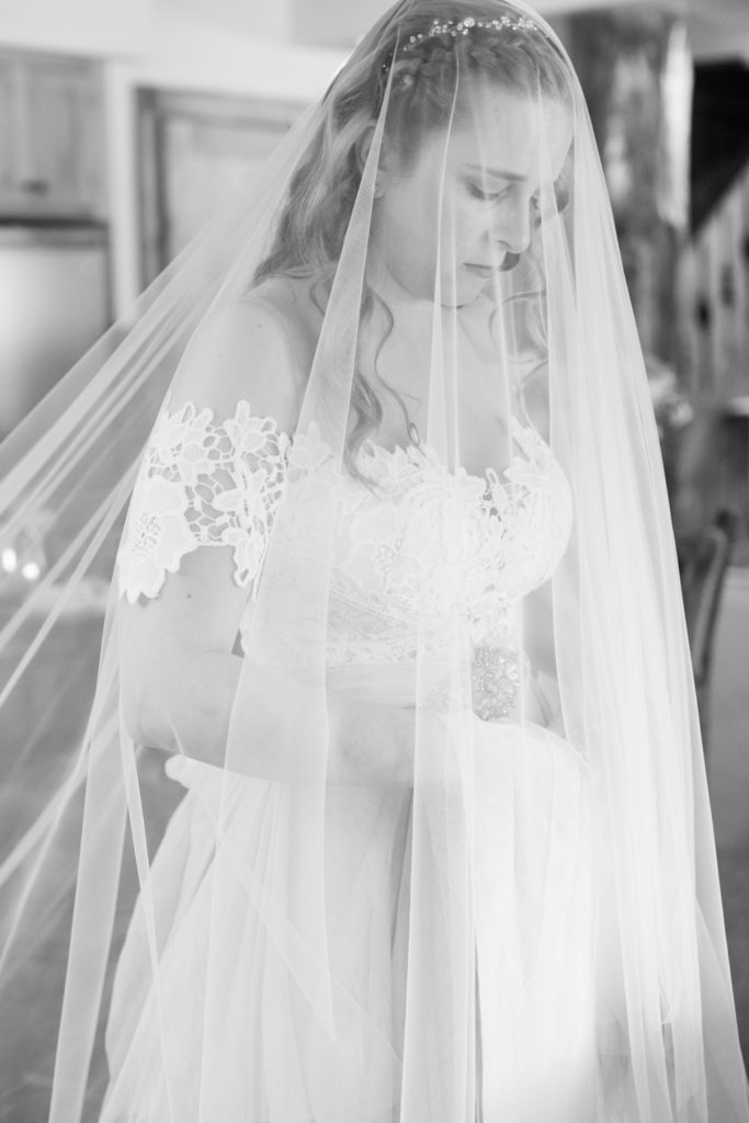 Bride in Veil 