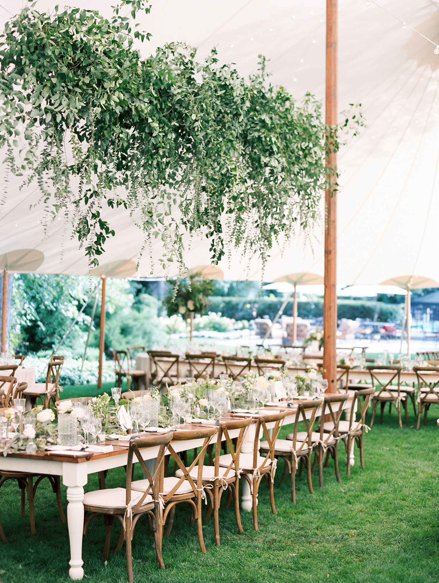 Living Roots Winery wedding reception with long wood tables and white flowers